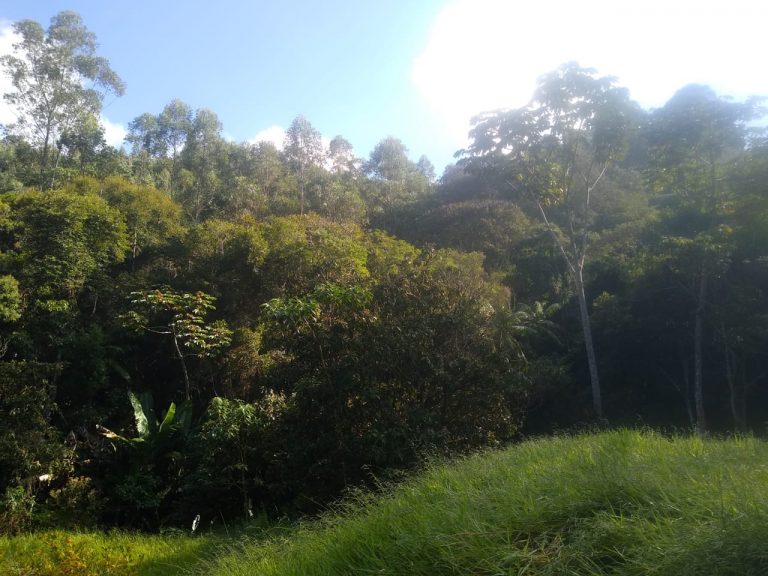 Chácara em Salesópolis com Cachoeira